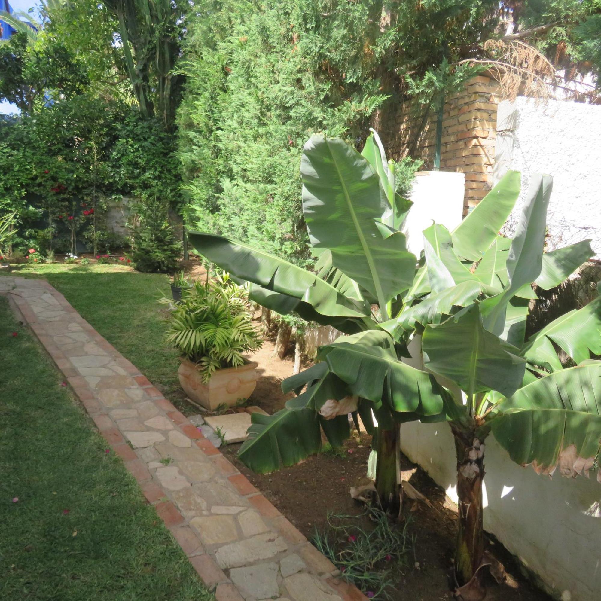 Ferienhaus Casa Santorini Las Chapas Marbella